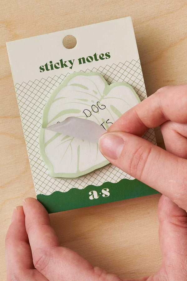 Monstera Sticky Notes