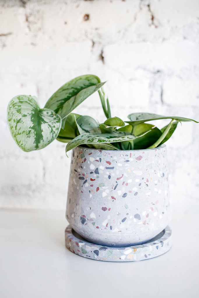 Grey Terrazzo Planter w/Saucer