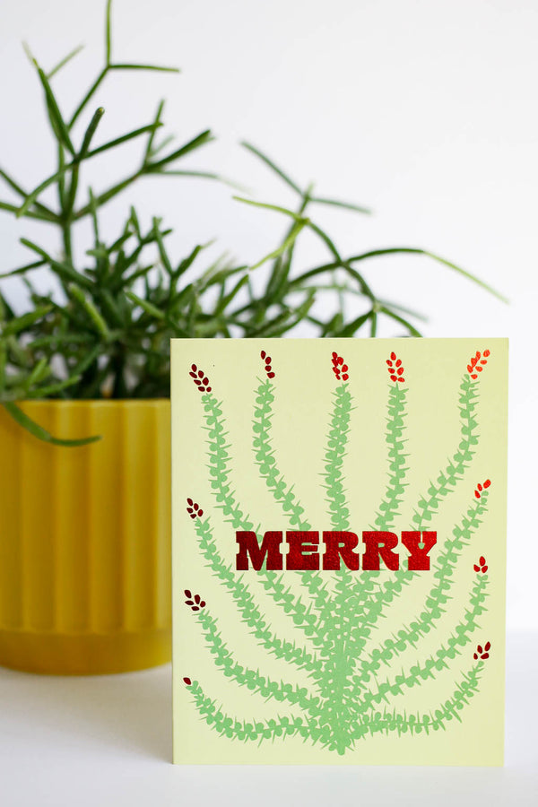 Merry Ocotillo Cactus Holiday Card