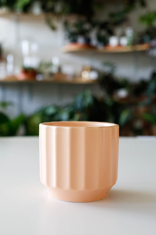 Monroe Planter- Sunset