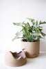 Secret Beach Planter