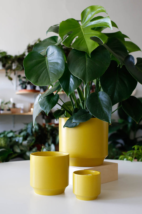 Parker Planter- Palm Speckle