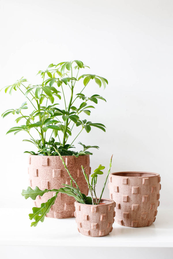 Ticul Pot