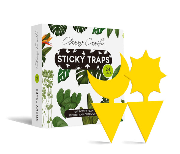 Sticky Traps for Pests