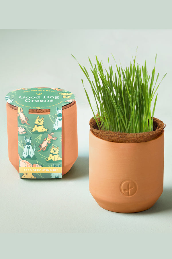 Pet Friendly Tiny Terracotta Grow Kits
