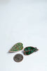 Best Fronds Enamel Pin Set