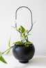 Mini Metal Plant Stakes-Black