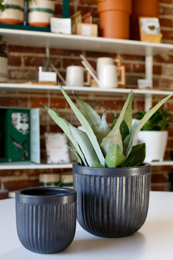 Black Ribbed Cylinder Planter