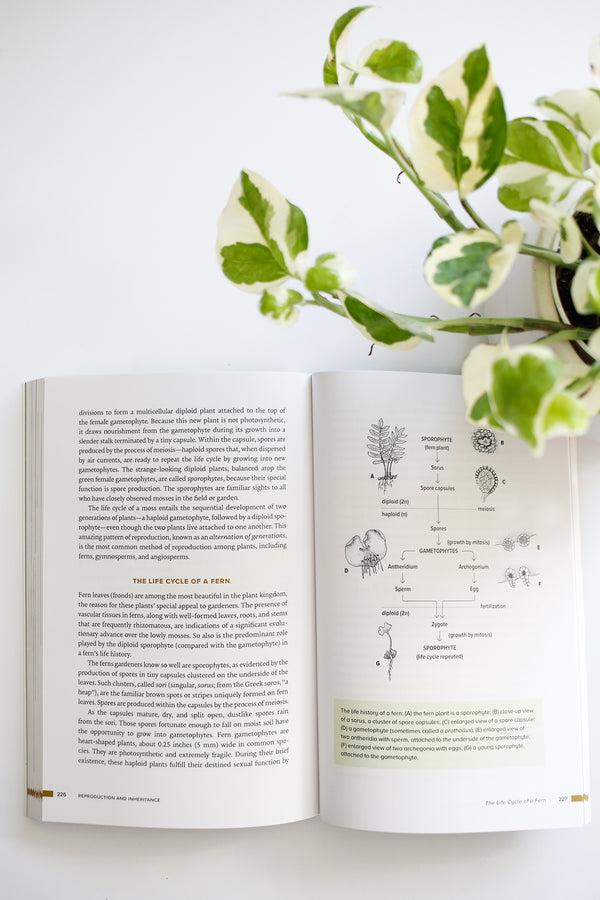 Botany For Gardeners
