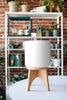 Cork Plant Stand