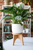Cork Plant Stand