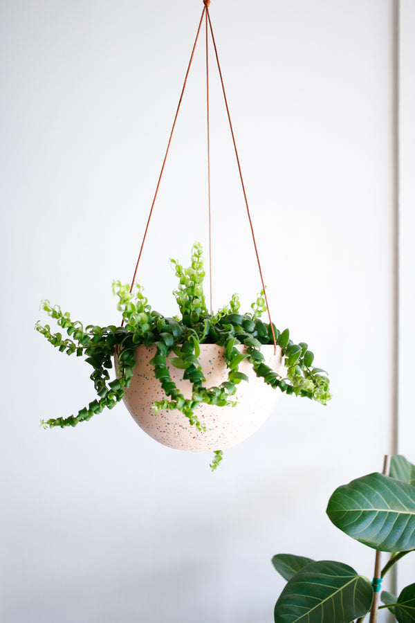 Terrazzo Dome Hanging Pot