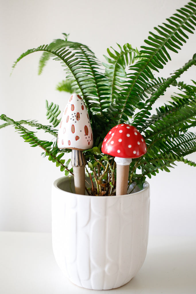 Ceramic Mushroom Plant Pals