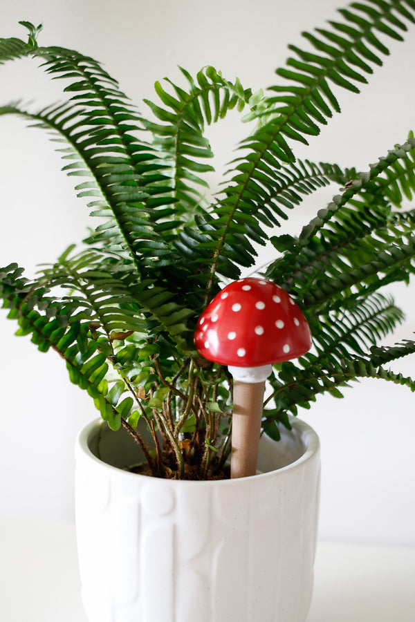 Ceramic Mushroom Plant Pals