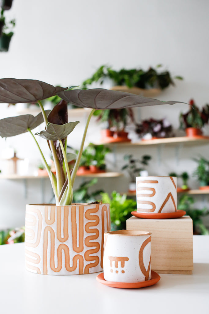 Curious Clay Wiggle Planters