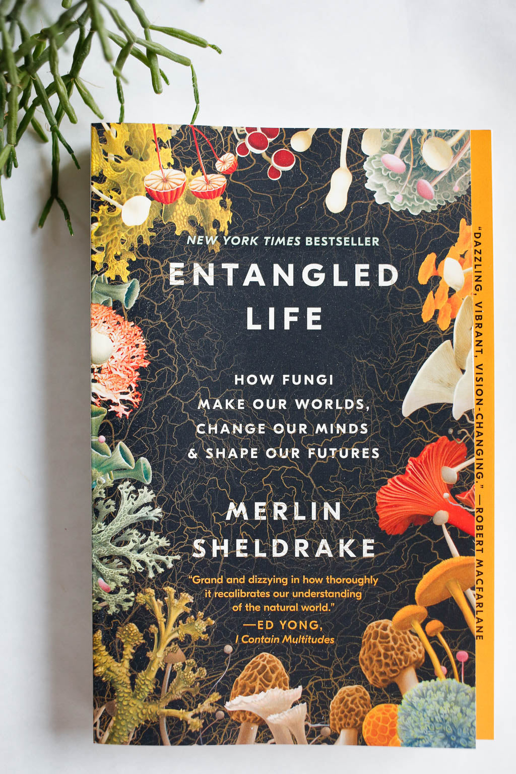 Entangled Life: How Fungi Make Our Worlds, Change Our Minds, 56% OFF