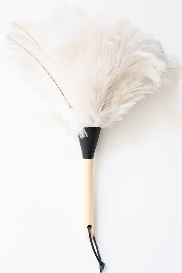 Feather Duster