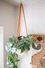 Hands On Hanging Western Planter