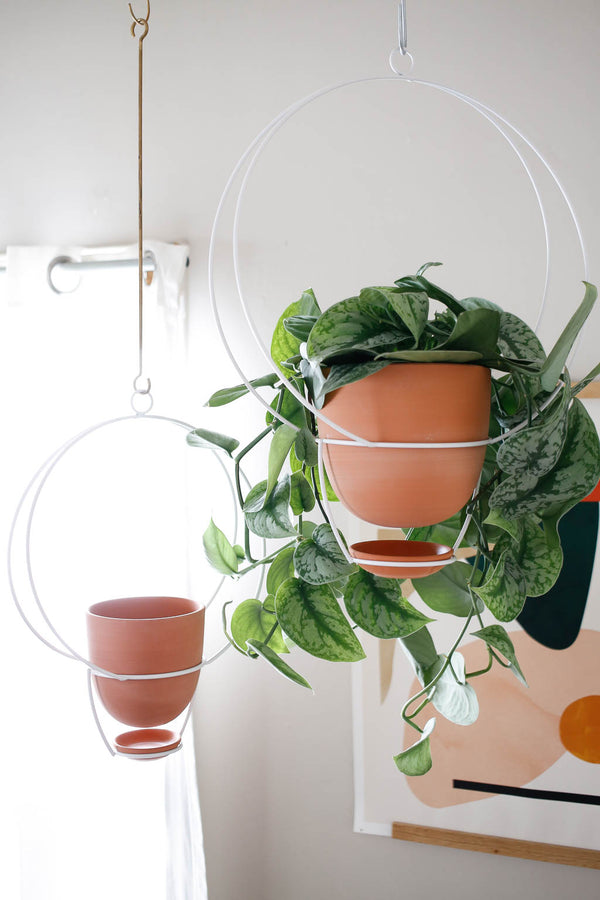 Planters & Pots – Folia Collective