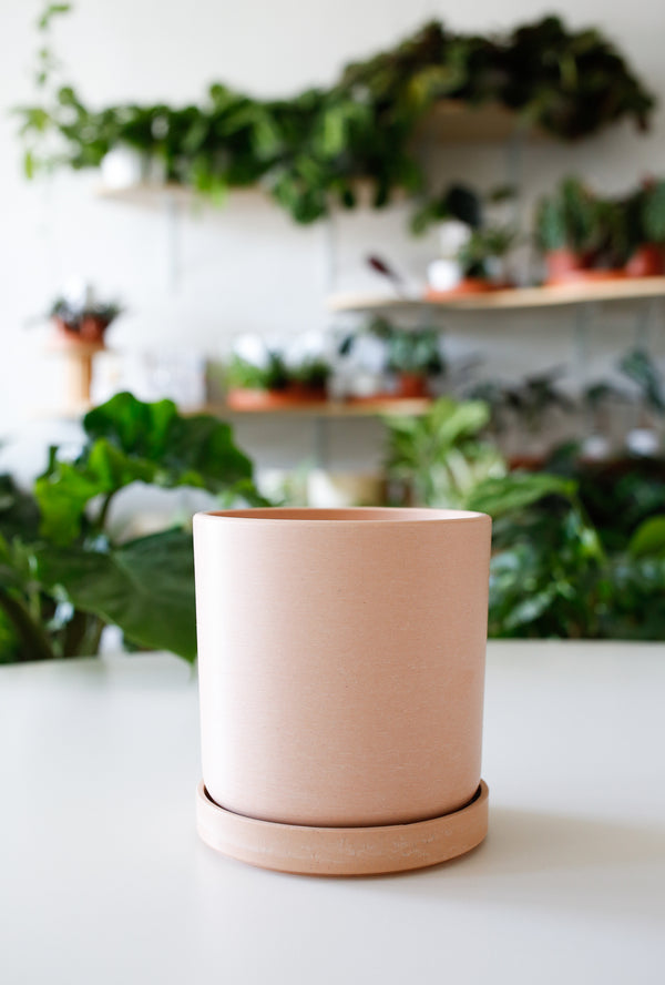 Kanso Signature Cylinder Planters