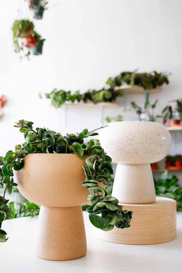 Orbital Pedestal Planter by Klei Ceramics