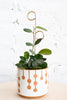 Mini Metal Plant Stakes-Gold
