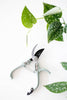 Modern Bypass Pruners