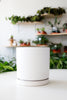 White Momma Pots Cylinders