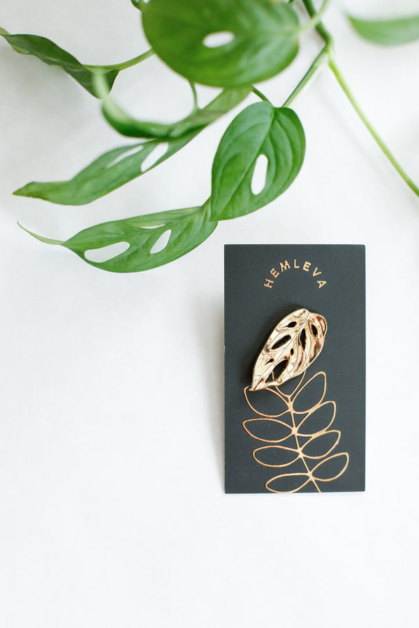 Monstera Adansonii Pin