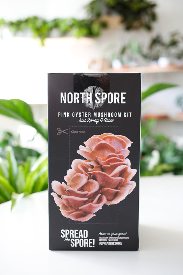 Pink Oyster Mushroom Grow Kit