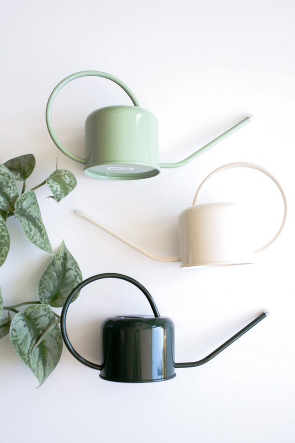 PLINT Colored Watering Cans