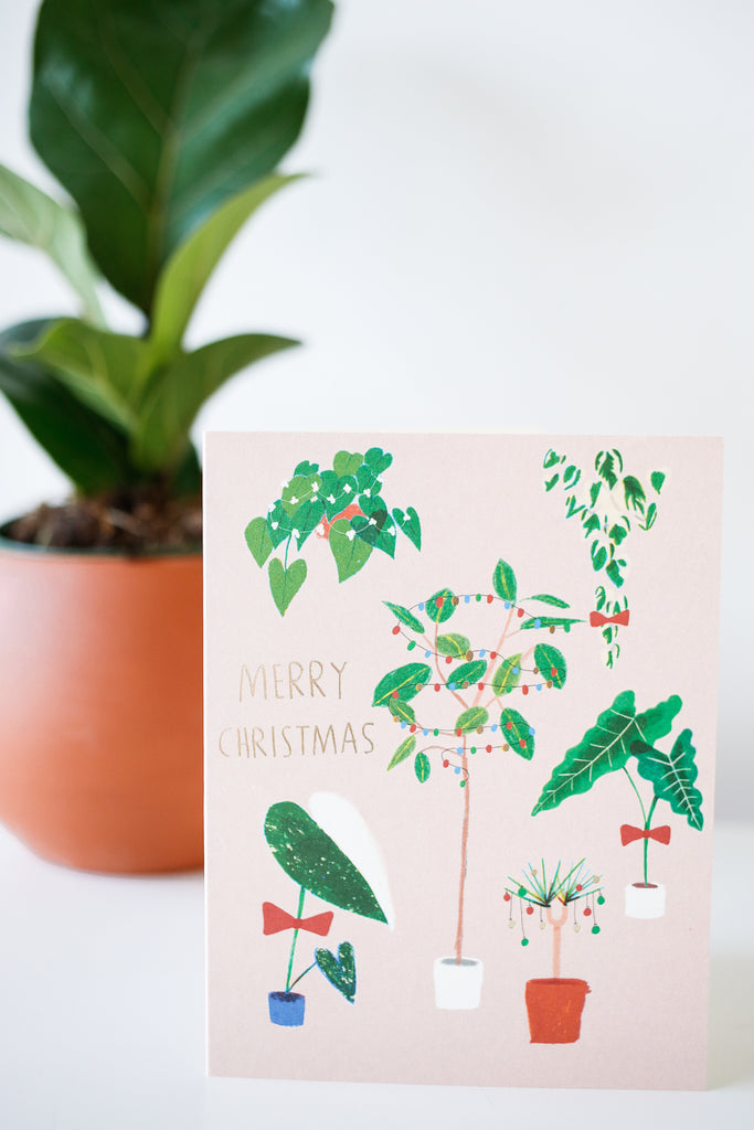 Potted Plants Christmas Card
