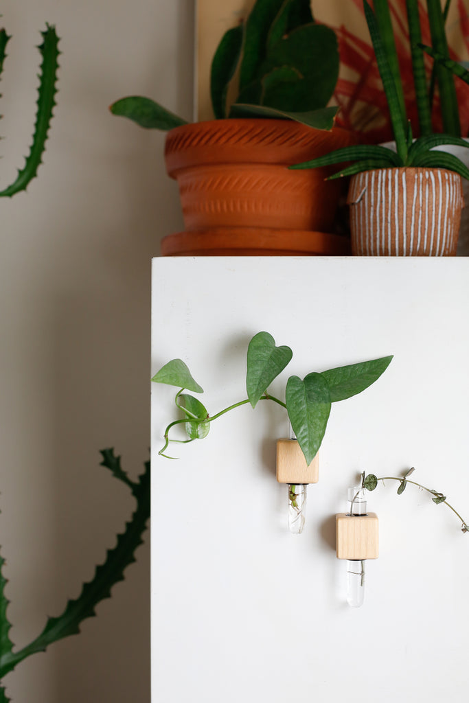 Propagation Magnet