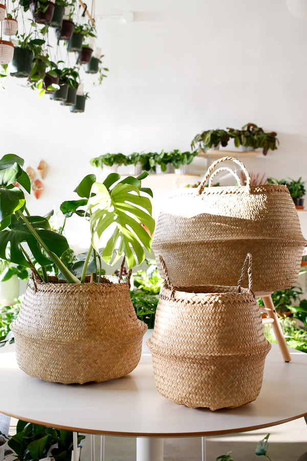 Seagrass Basket