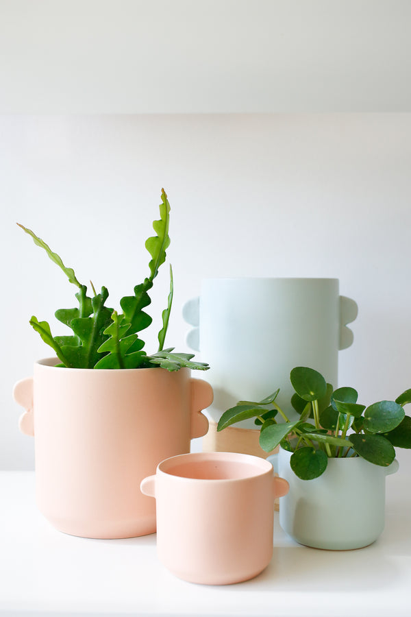 Taba Pot