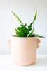 Taba Pot