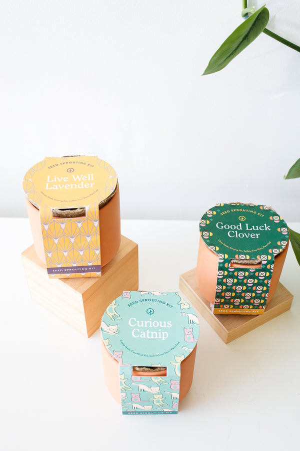 Tiny Terracotta Grow Kit