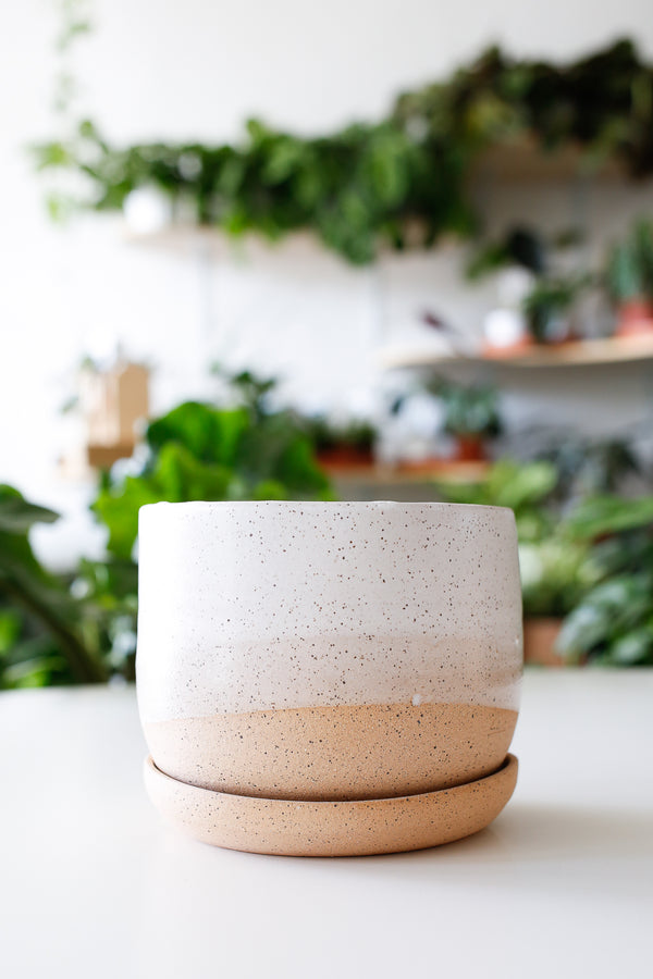 Hands On Wide-Bottomed Planter