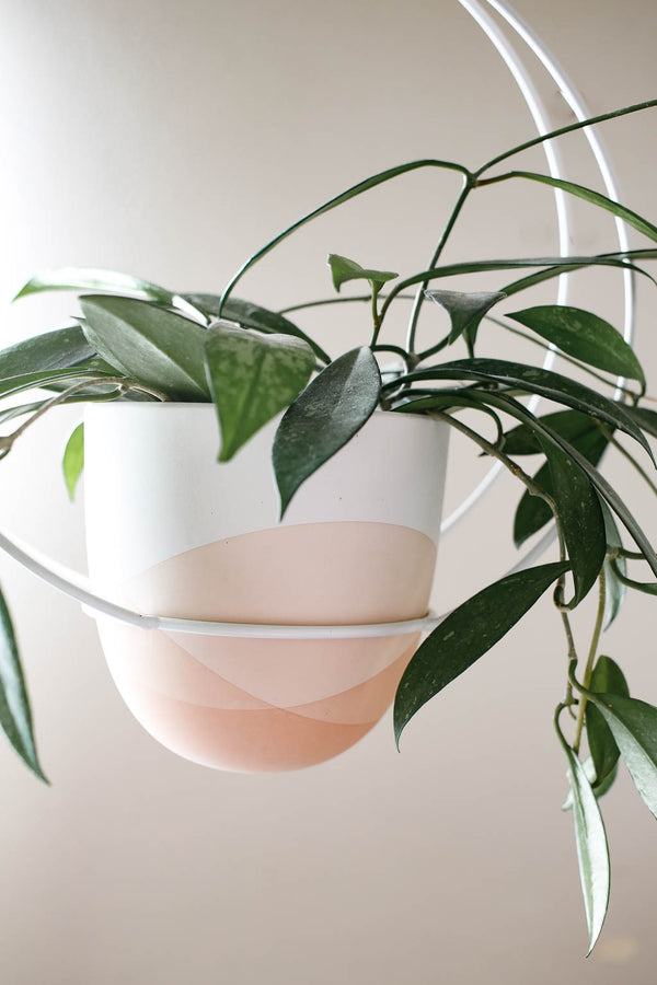 Vesper Hanging Planter