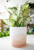 Vesper Planter