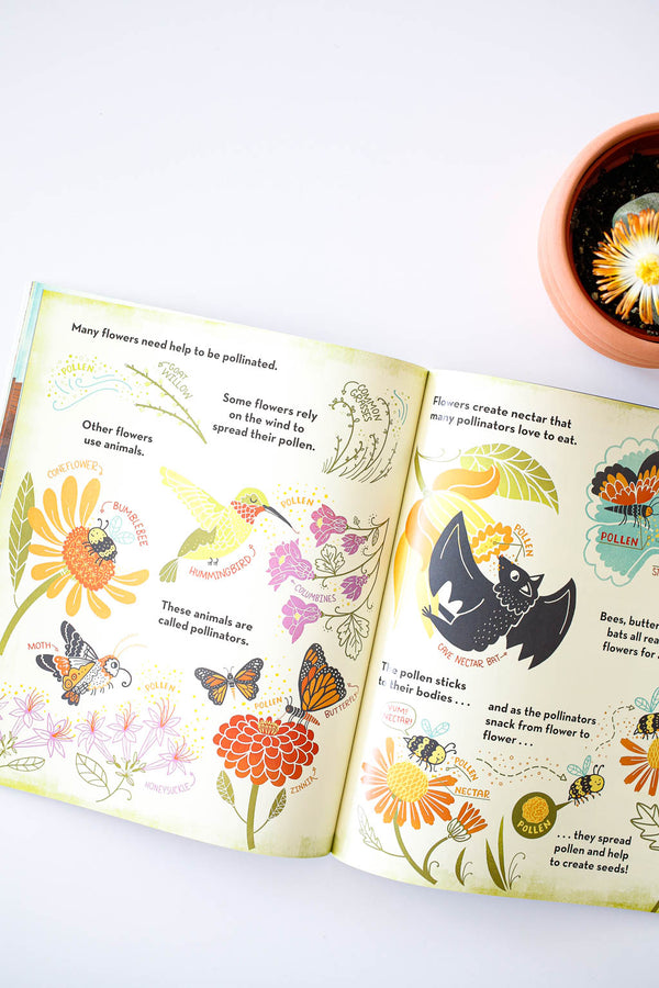 What's Inside a Flower Book