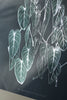 Philodendron Melanochrysum Print