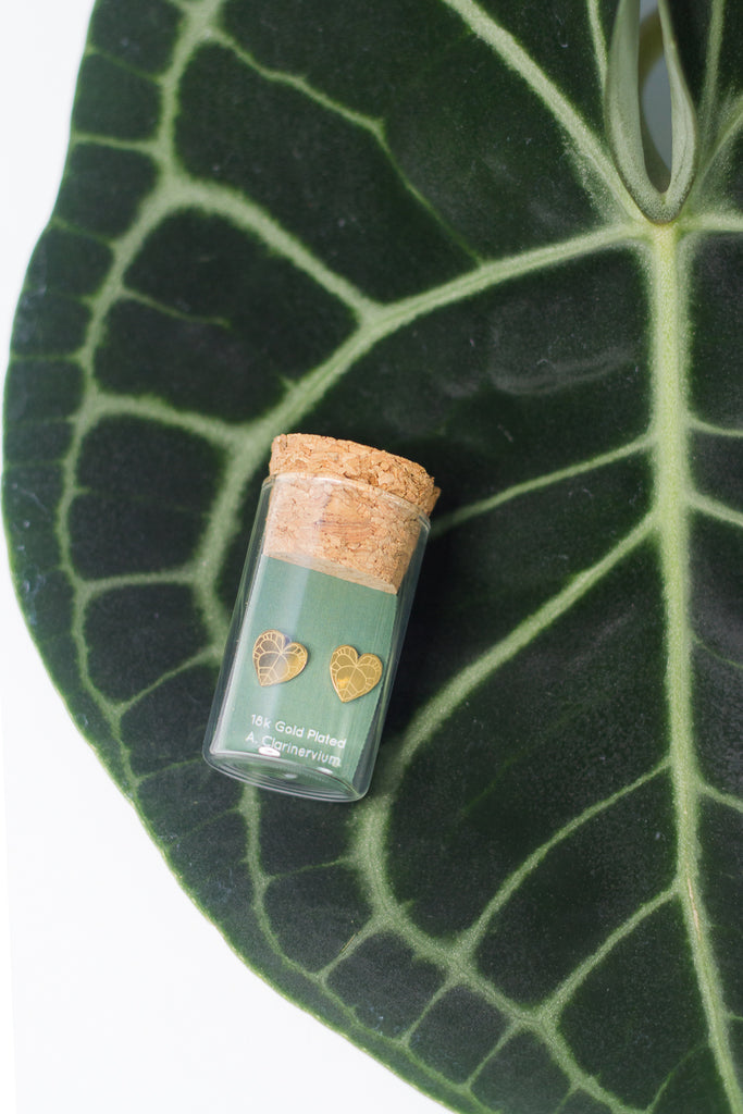 Anthurium clarinervium Stud Earrings
