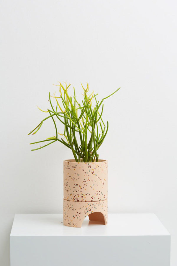Archie Pot - Salt Terrazzo