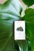 Monstera Leaf Pin