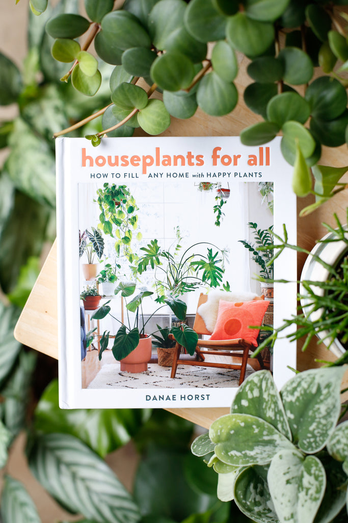 Houseplants For All