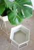 Lore Plant Stand