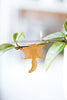 Plant Animals