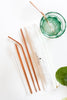 Metal Straw Set with Pouch
