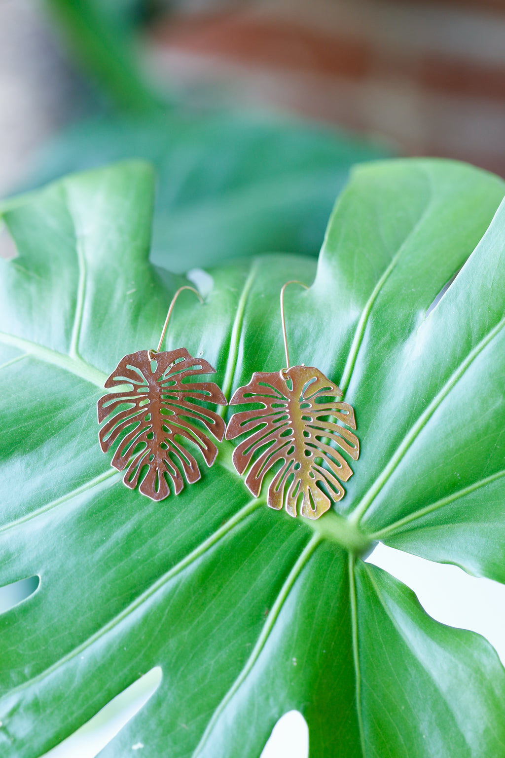 Monstera Deliciosa Stud Earrings